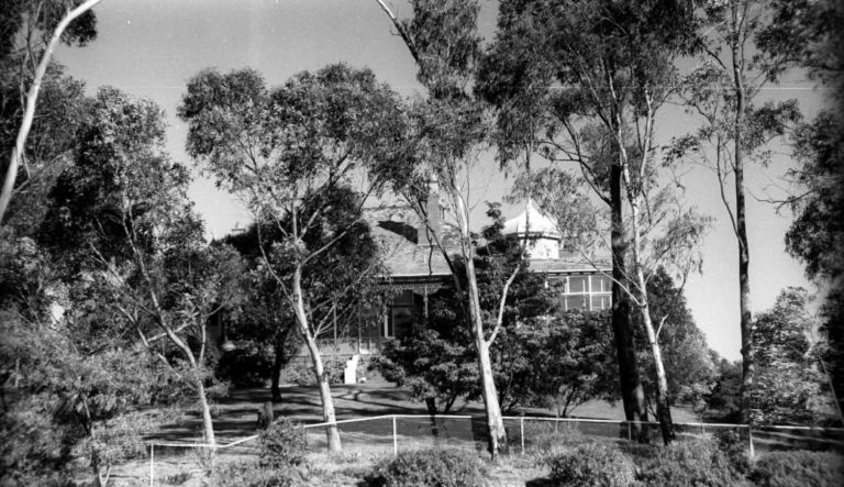 Flowerdale through the parkland trees, 1982